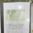 더채움스킨케어