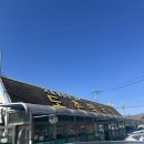 도촌 | 양구 맛집 - 도촌막국수 웨이팅 후기(양구 여행 맛집)