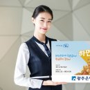 하면돼지 동행미디어 시대