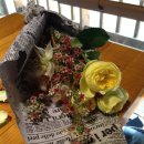 카페 알도 이미지