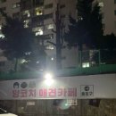 양코치 애견카페 이미지