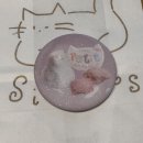 위드예예 | 3월 생일 전 주간 일상 reacp