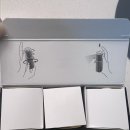 넘버파이브 | 샤넬 넘버 파이브 내돈내산 솔직 후기 – 클래식의 정석 or 올드한 향?