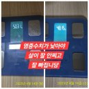 중년,시니어들 살뺄 수 있는 임동점핑다이어트