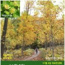 백합작은도서관 이미지