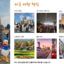 나홀로캠프 이미지