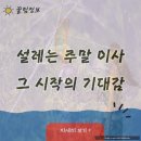 프리우스아파트 | 반포TS프리우스아파트 주말 이사 통합견적비교, 현명하게 접근하기