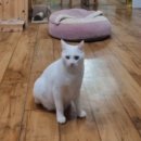 산골공작소 이미지