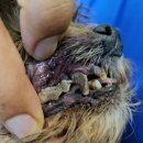 유성동양경매장 이미지