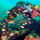 자원목장 이미지