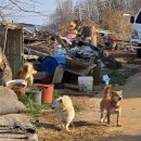 황교2마을경로당 | 서해랑길 최장거리 25차 서해랑길 59코스 춘장대해수욕장에서 대천해수욕장 까지 28.6km