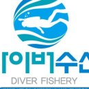 잠수기수산 네이버블로그