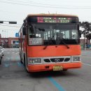 벽제우체국 앞 이미지
