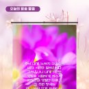 기드온(주) 이미지