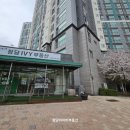 신비부동산공인중개사사무소 네이버블로그