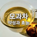 근육통과 뭉친근육 등 통증을 풀어주는 모과차의 좋은점 이미지