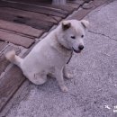한이민박 이미지