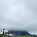 산물통회수산 | 여유있는 제주여행2일차(선채향|사계해변|오르바|산물통회수산)