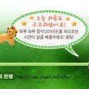 [pine tree 바지가 헐렁~ 허벅지가 쪼옥~ 계속 이대로~~~!!] 이미지