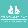 그루밍캣 압구정점 이미지