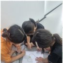 용인대영웅태권도장 이미지