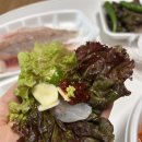 [ 대구 동구 ] 대구 율하동 회 맛집 &#34; 뜨담 회선생&#34; 배달 후기