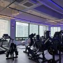 프리즘 피트니스 이미지