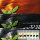 디앤비