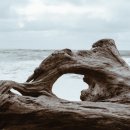 북청물장수 이미지