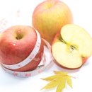 장자골 농장 이미지