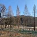 고삼농장 이미지