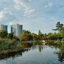 새힘한의원 이미지