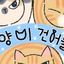 흥남집