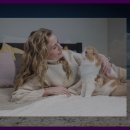 보광동 무후묘 이미지