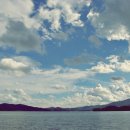 네잎크로버 소프트 이미지