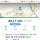 에코 호리 태권도 이미지