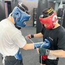 케이오복싱 이미지