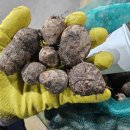 곡성-244 이미지