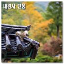 유승건기산업㈜ | 부산근교전원주택, 생각보다 가까운 숲속의 삶