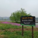 진월 돈탁마을 숲 네이버블로그
