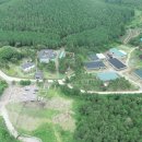 주도흑염소 이미지