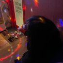 큰시장예전보리쌈밥 | 가성비 넘치는 그녀와의 👚동묘 구경👞(+ 모란 쌈밥 맛집)