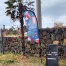 의귀환승정류장 | 서귀포 게스트하우스 제주게토게스트하우스파티 여자 내향인 혼자 파티 방문 후기