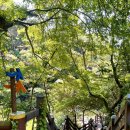 안덕계곡 앞 3 이미지