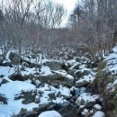 이영희민박 | 청학이능선~관음봉동릉-130126