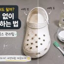 미백세탁소 - 계양구 계양대로139번길 4 | 여름마다 꺼내 신는 크록스, 변형 없이 관리하는 법