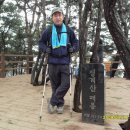 조견사우 이미지