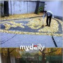 빗자루아저씨 이미지