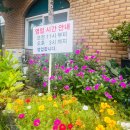 케이씨씨 보경돼지전골 | 김포 애기봉 맛집 보경가든, 손두부전골 푸짐한 시골밥상