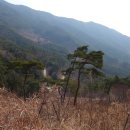 산동면사무소 이미지